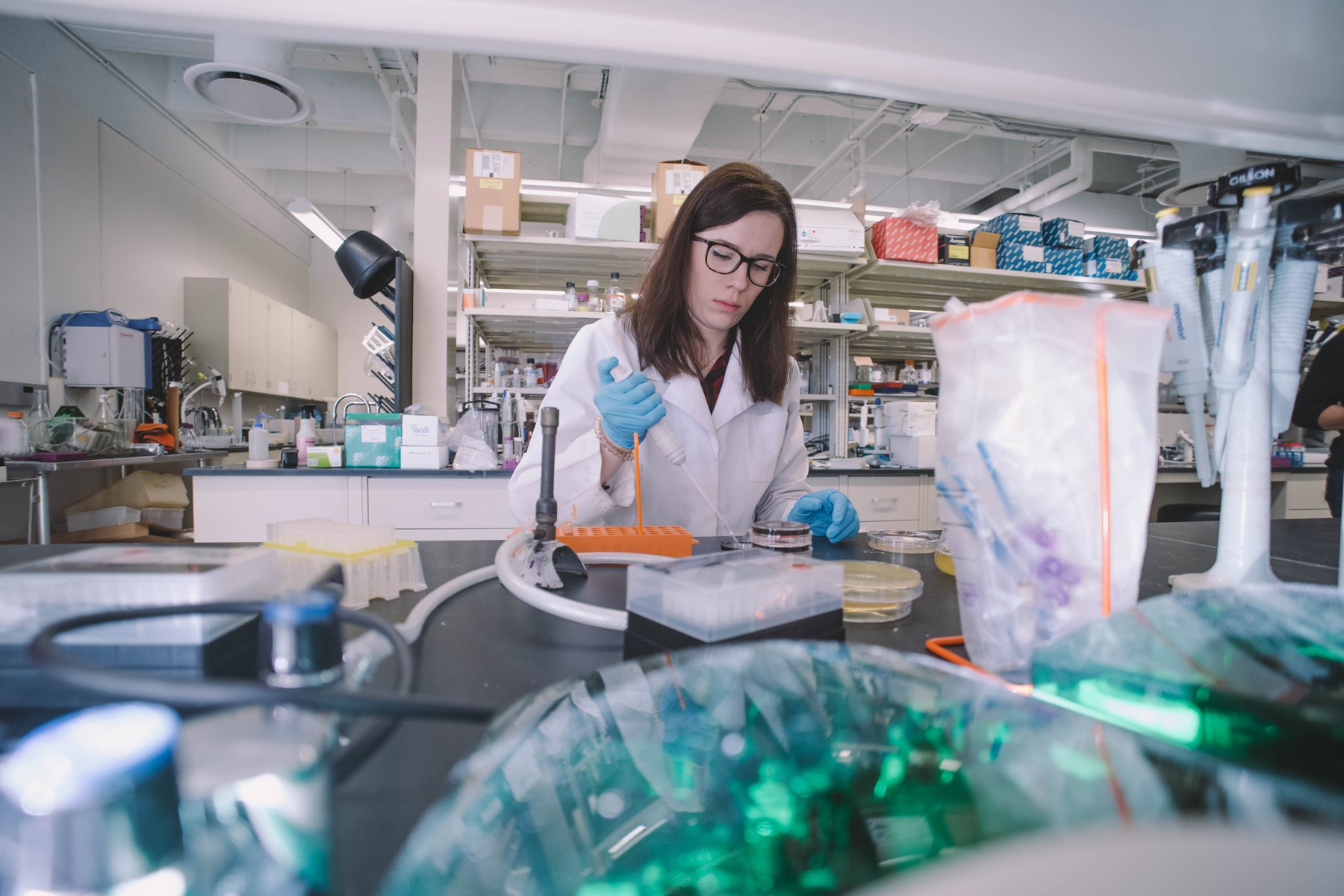 At the laboratory bench